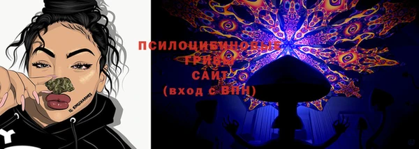 MDMA Premium VHQ Богородицк